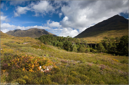 Liathach and Torridon Forest